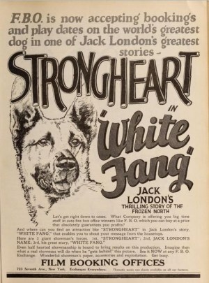 White Fang