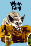 Película White Fang