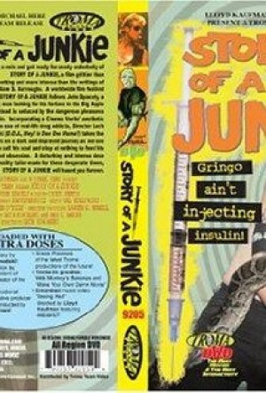 Historia de un junkie