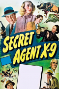Película Secret Agent X-9