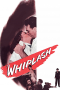 Película Whiplash