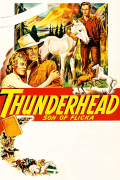Película Thunderhead: Son of Flicka