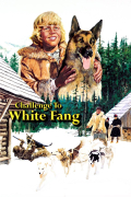 Película Challenge to White Fang