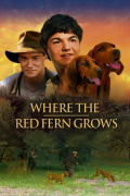 Película Where the Red Fern Grows