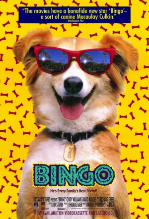 Bingo!