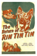 Película The Return of Rin Tin Tin