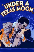 Película Under a Texas Moon