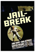 Película Jailbreak