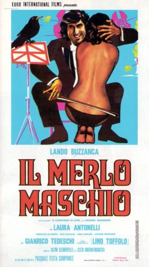 El mirlo macho