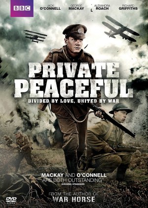 Soldado Peaceful Soldado Peaceful
