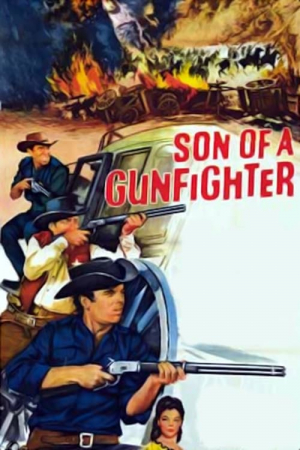 El hijo del pistolero