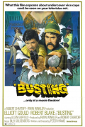 Película Busting