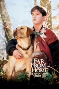 Película Far from Home: The Adventures of Yellow Dog