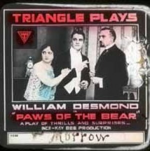 Paws of the Bear