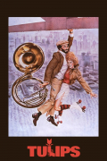 Película Tulips