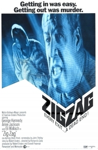 Zig zag (Falso testimonio)