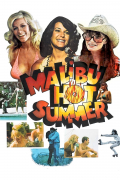 Película Malibu Hot Summer