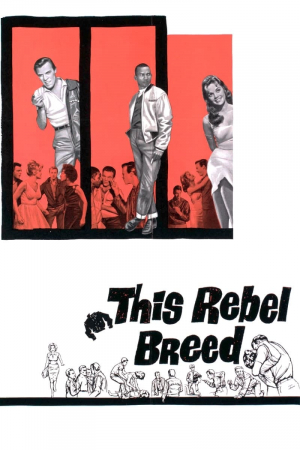 This Rebel Breed This Rebel Breed
