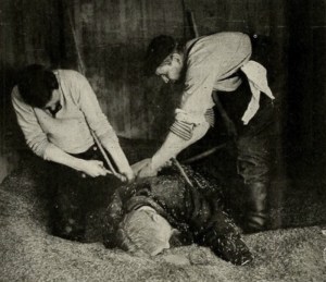 Den store Operation