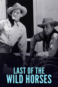 Película Last of the Wild Horses