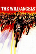 Película The Wild Angels