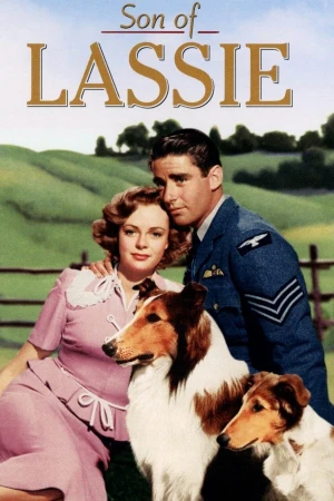 El cachorro de Lassie