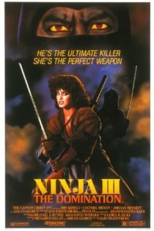 Ninja III: La dominación