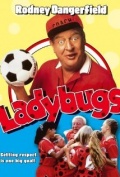 Ladybugs
