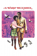 Película A Warm December