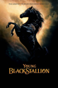 Película The Young Black Stallion
