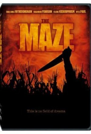 The Maze