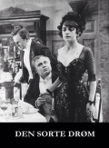 Den sorte drøm