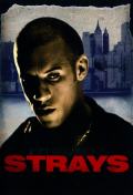 Película Strays