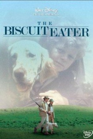 El perro cenicienta
