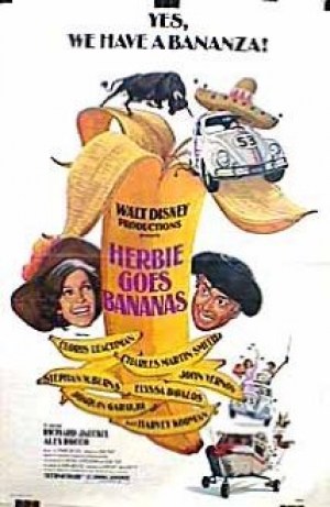 Herbie, torero