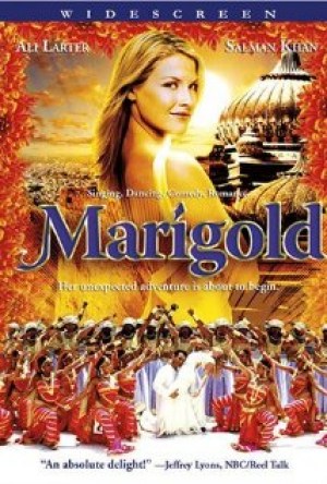 Marigold