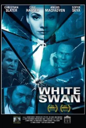 Cisne blanco