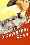 Película Strawberry Roan