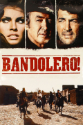 Película Bandolero!
