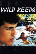 Película Wild Reeds