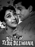 Película Dil Tera Diwana