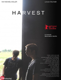 Película Harvest