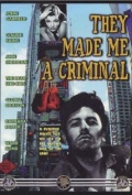 They Made Me a Criminal