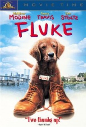 Fluke