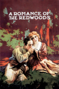 Película A Romance of the Redwoods