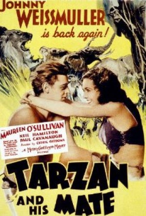 Tarzán y su compañera
