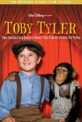 Toby Tyler or Ten Weeks with a Circus