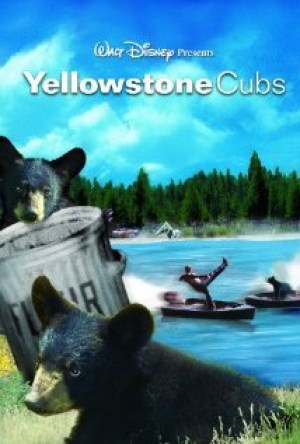 Yellowstone Cubs
