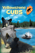 Película Yellowstone Cubs