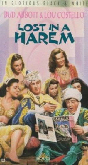 Lost in a Harem